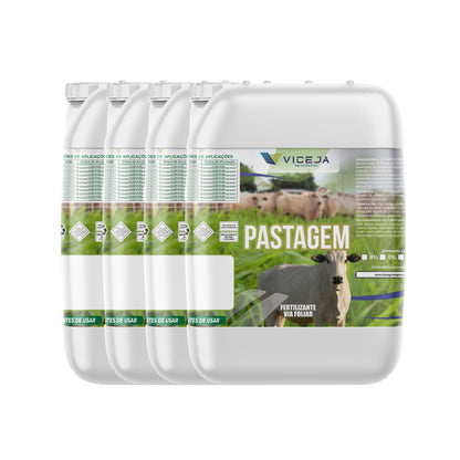 PASTAGEM – Mais Massa Verde Melhor Enraizamento e Maior Produção de Forragem