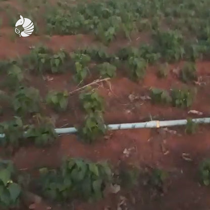 TURFA – Eleva a CTC do Solo e Substitui Esterco Rica em Leonardita e Algas Marinhas