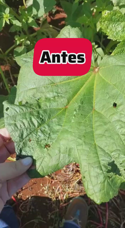 POTEENCER – Auxilia na Proteção da Lavoura