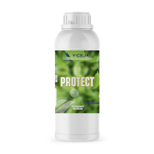PROTECT - Imagem 4